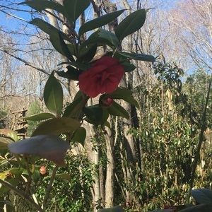 Meet your Posher, Elaine